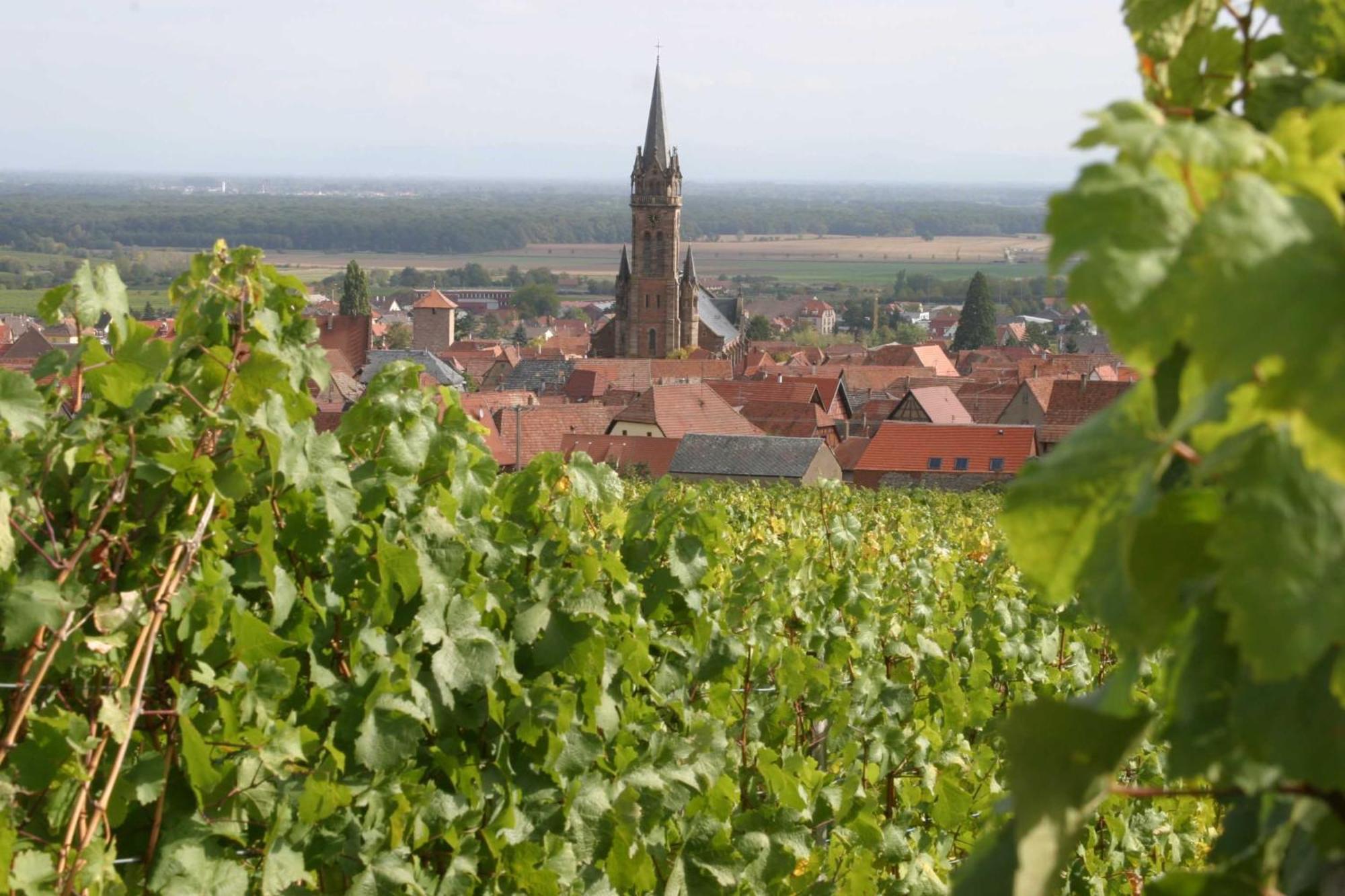 D'hotes Ruhlmann Frühstückspension Dambach